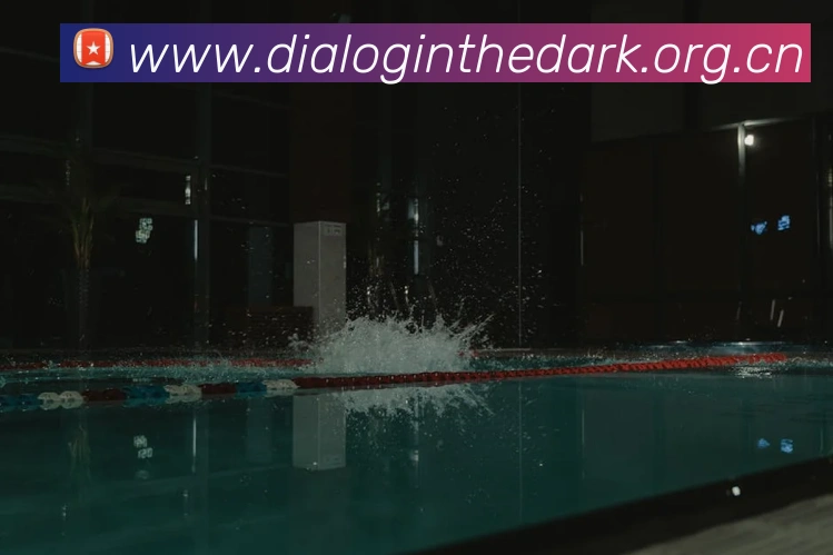 多媒体互动体验