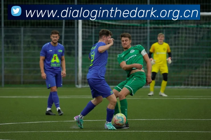 开云手机在线登录官网APP 高清赛事图